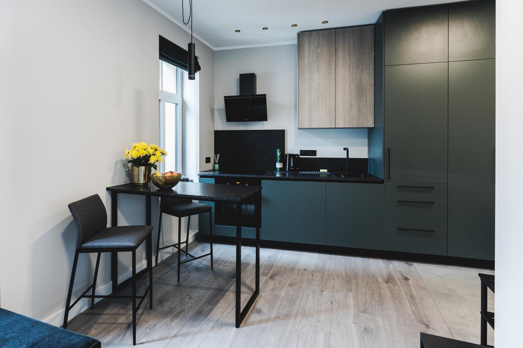 Apartment Dzirnavu Riga